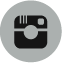 Instagram Icon